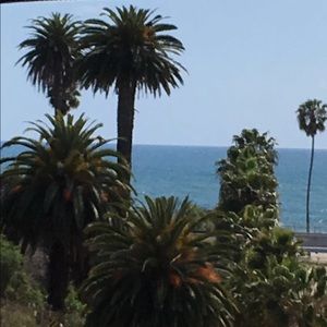 Meet your Posher, Torie